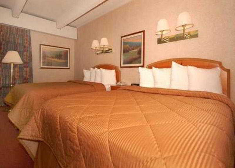 Express - North 3*